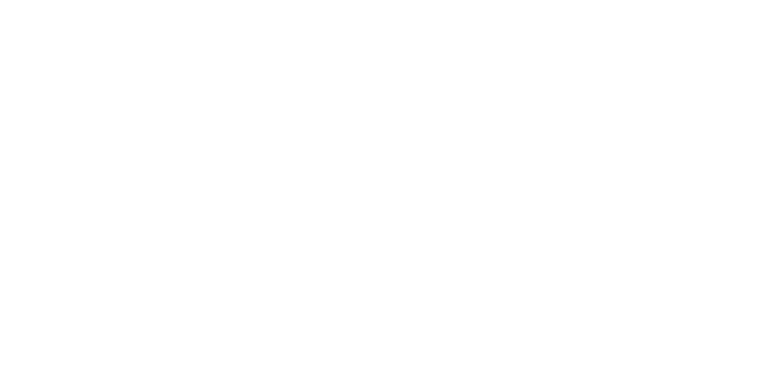 Pinit_logo_fff