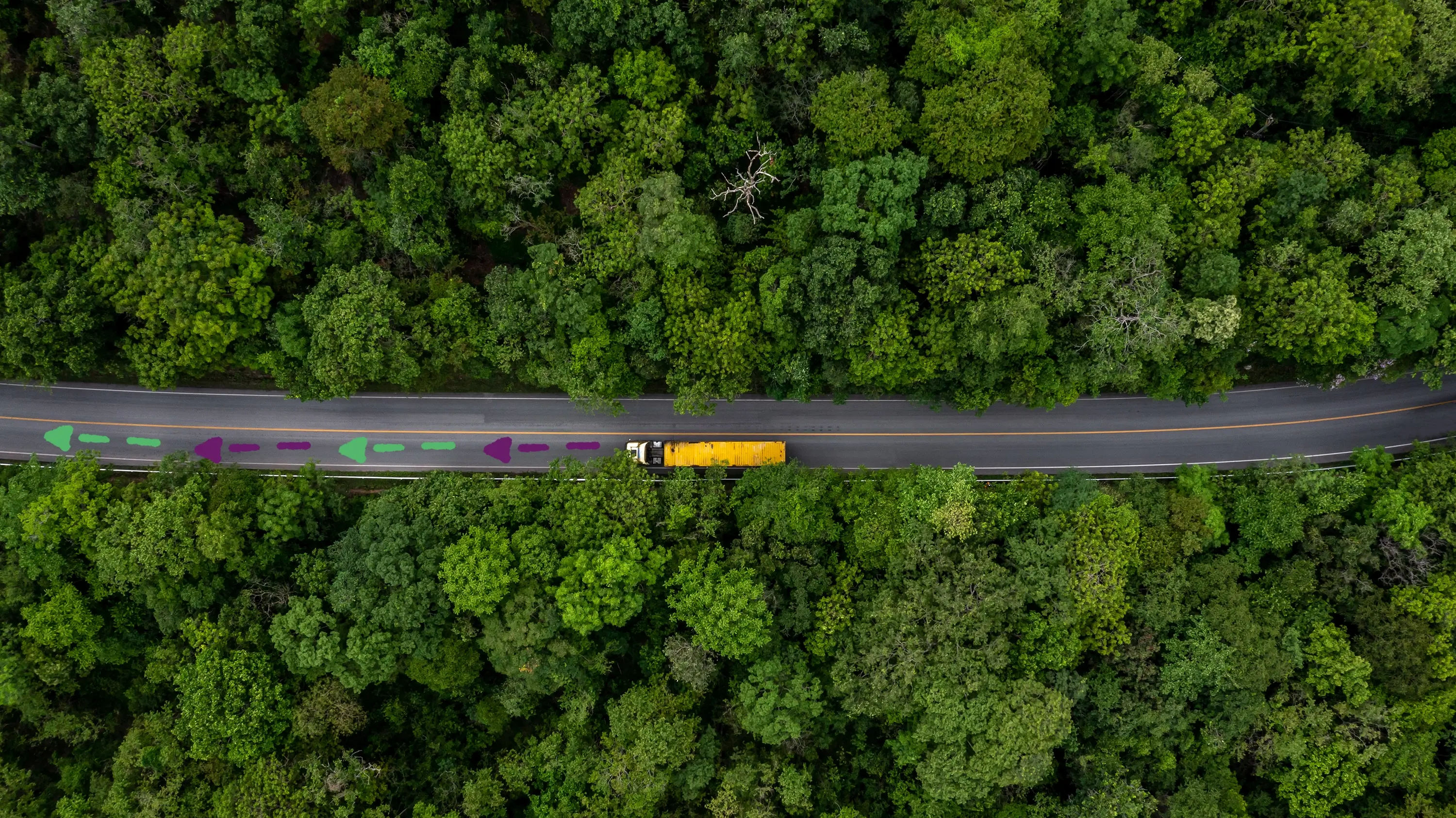 un camión en ruta optimizada para logística verde con gestión de transporte (TMS) con mucha vegetación y bosque junto a la calzada. En dibujo color verde y morado hay flechas hacia adelante, en referencia a los colores de Pinit.