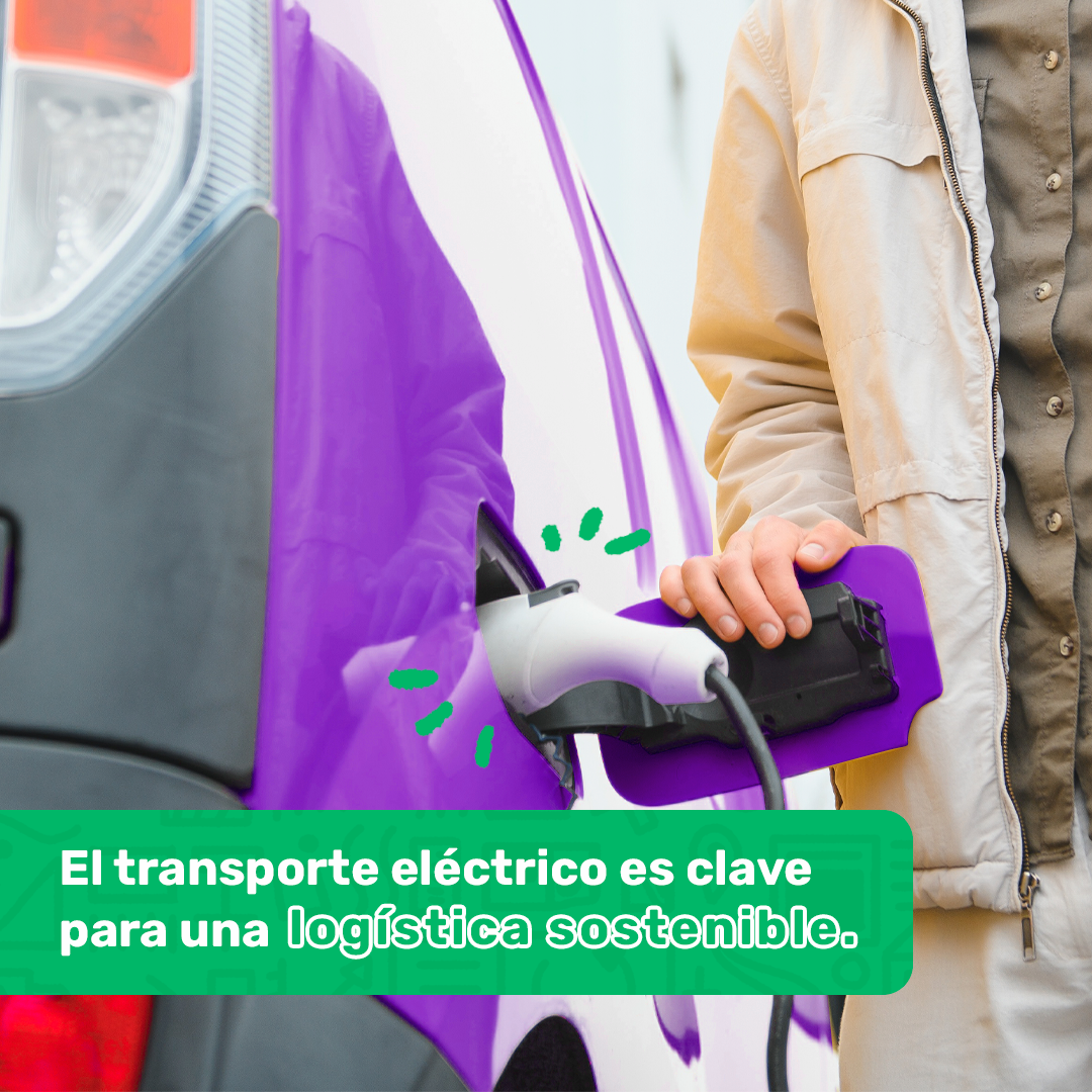 logistica verde